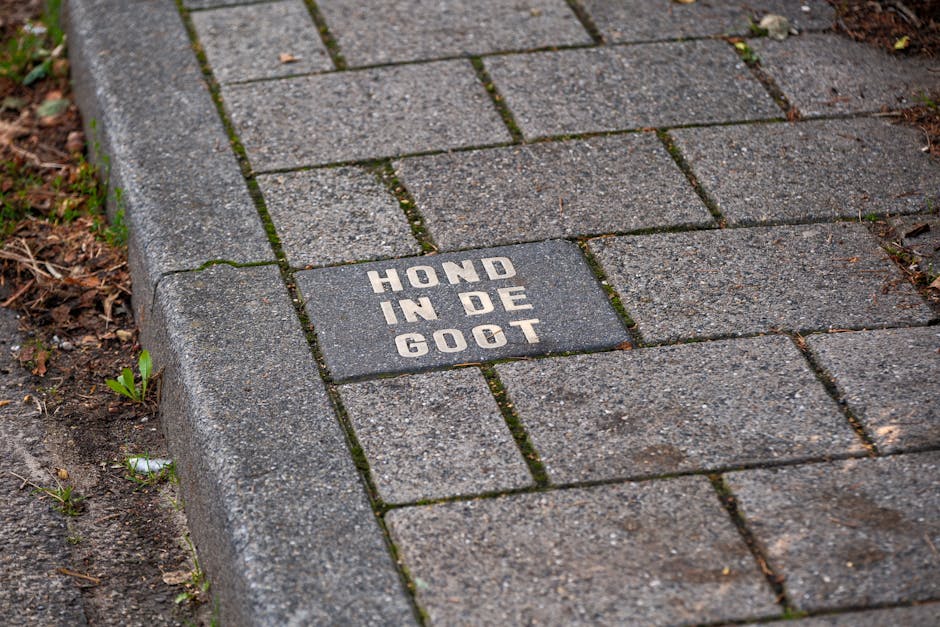 Street view near the community centre